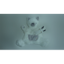 Doudou ours marionnette et son lapin Nicotoy